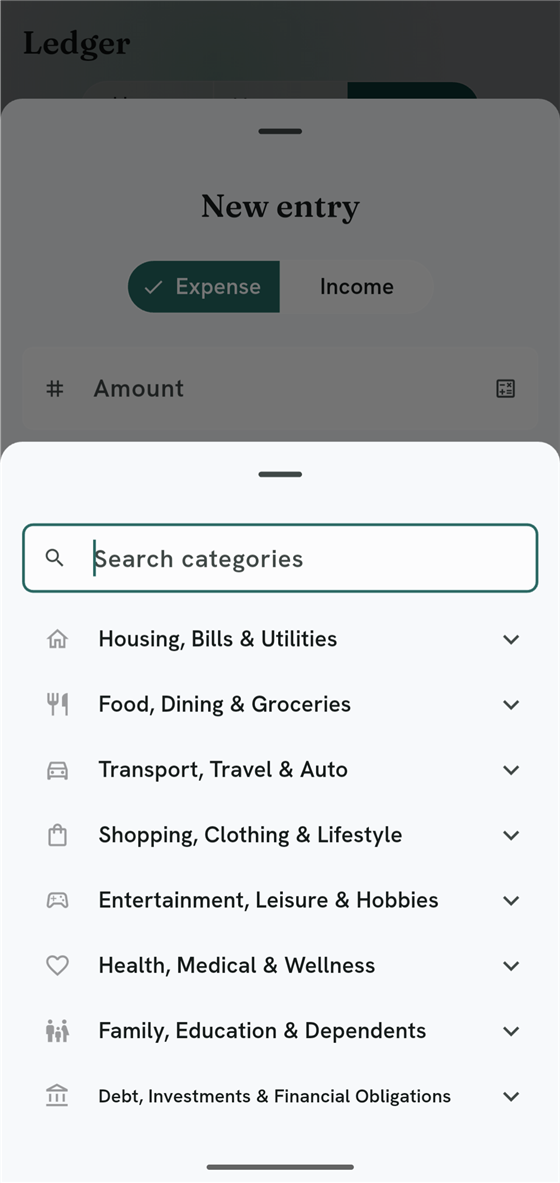 New entry sheet set to Expense with a collapsible category list